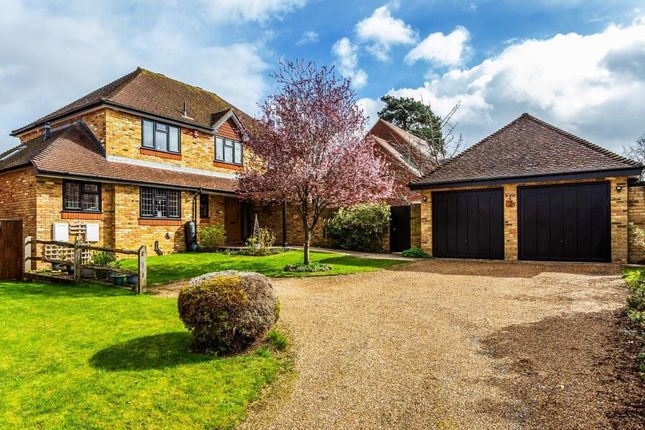 Thumbnail Detached house for sale in Gilmais, Great Bookham