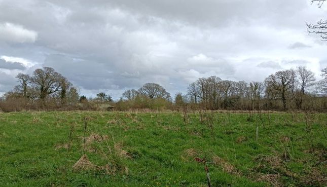 Land to rent in Harberton, Totnes
