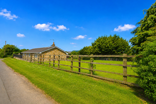 Abbey Game Farm, Raw Lane, Rotherham photo 4