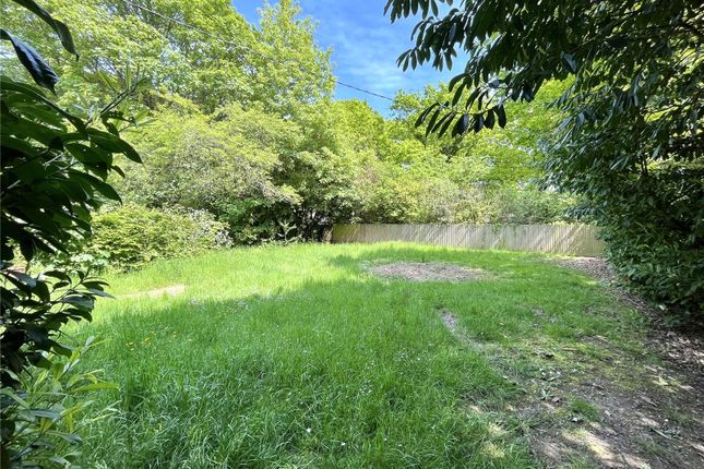 37, Little Baddow Road, Chelmsford photo 2