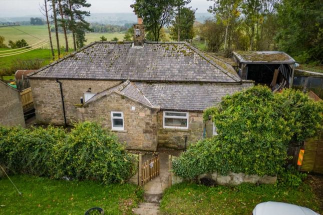 Thumbnail Cottage to rent in Stocksfield