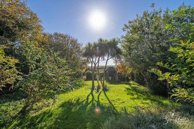 1 Nettlecombe Cottages Nettlecombe Lane, Ventnor photo 3