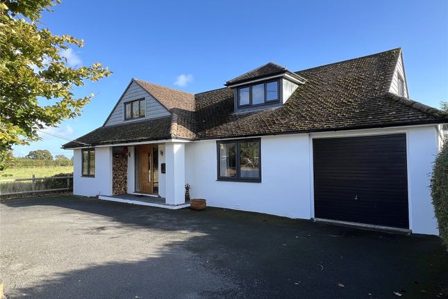 The Property