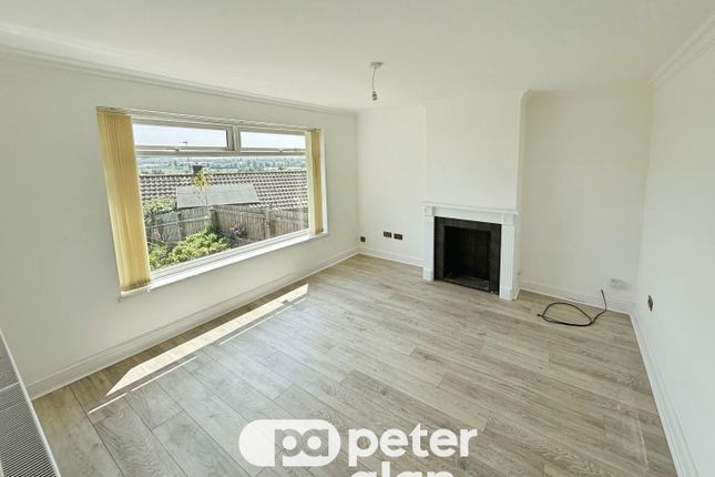 12, Cardiff photo 4