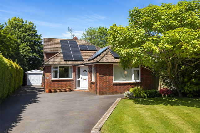 3-bed house on 92, Blackberry Lane, Alton, £600,000