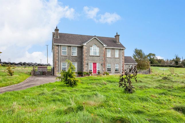 Detached house for sale in 95 Drumlough Road, Annahilt, Hillsborough