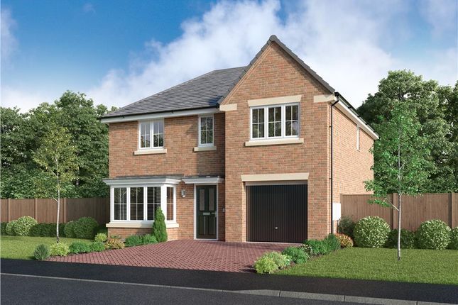 Thumbnail Detached house for sale in "The Denham" at Off Durham Lane, Eaglescliffe