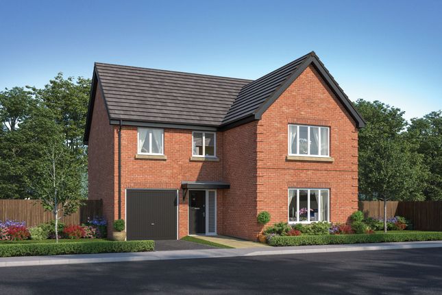 Thumbnail Detached house for sale in "The Forester" at High Grange Way, Wingate