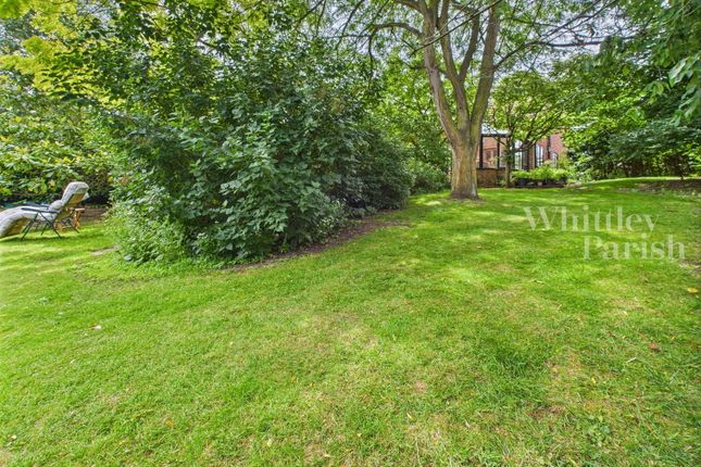Vine Cottage, The Street, Norwich photo 3