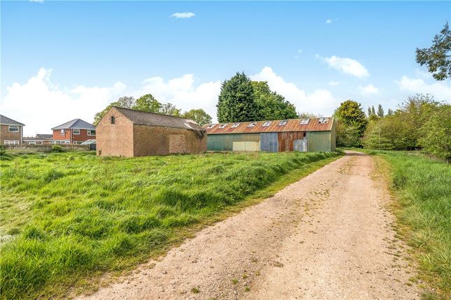 Thumbnail Land for sale in Lot 3 - Hall Marsh Farm, Long Sutton, Spalding, Lincolnshire