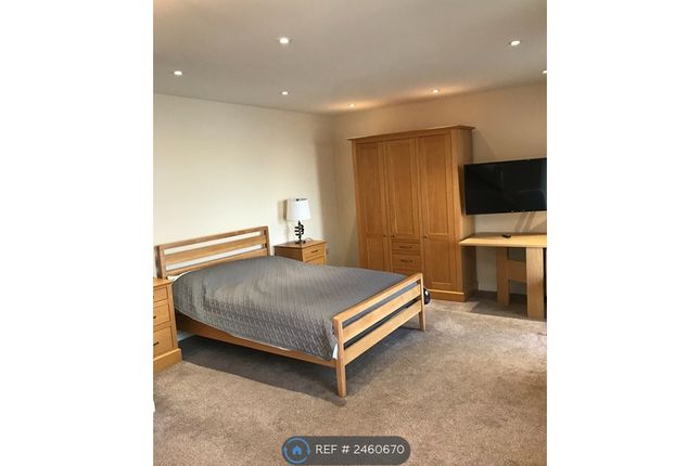 Exceptionally Spacious  Bedroom