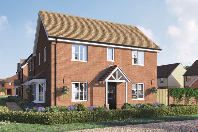 Thumbnail Detached house for sale in "The Mountford" at Curbridge, Botley, Southampton