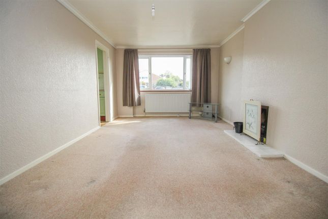 5, Cloverfield, Harlow photo 2