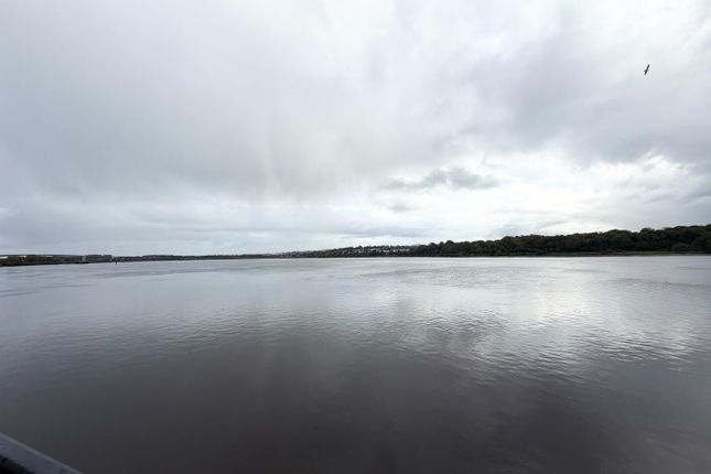 Foyleview, Derry photo 4