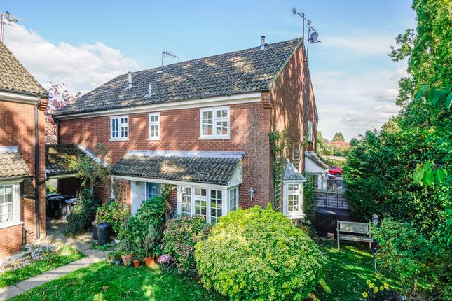 24-The-Coltsfoot-3877