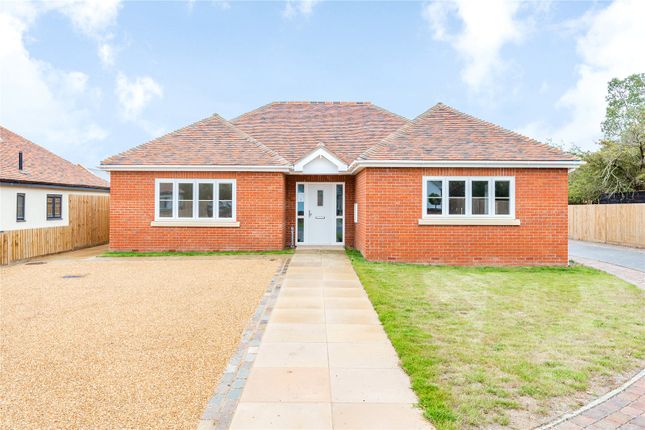 Thumbnail Bungalow for sale in Orchard Close, Burnham-On-Crouch