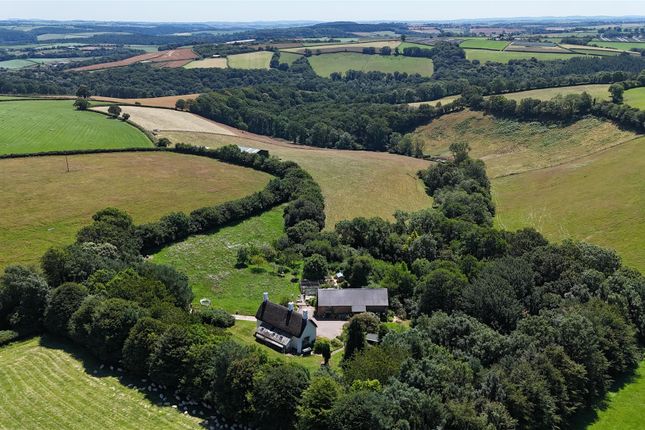 Pitt Farm, Chulmleigh photo 2