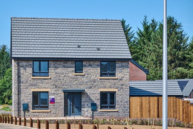 Our Plumdale At Melin Newydd