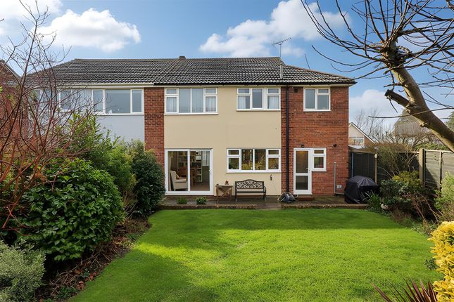25, Buxton Road, Colchester photo 2