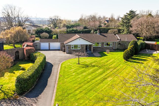Thumbnail Detached bungalow for sale in The Leys, Normanton-On-The-Wolds, Nottinghamshire
