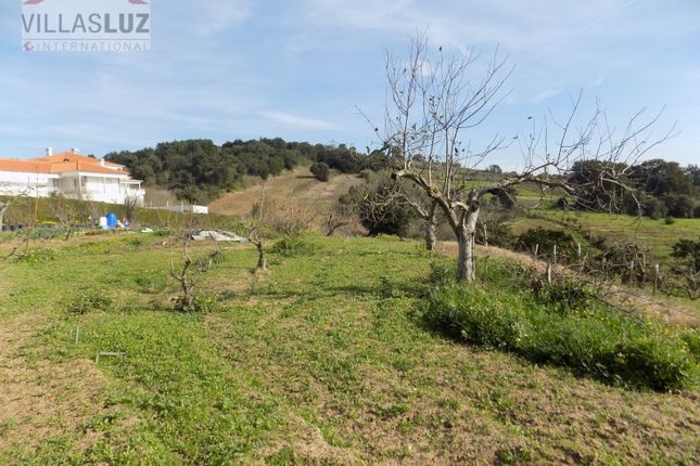 Land for sale in Roliça, Bombarral, Leiria
