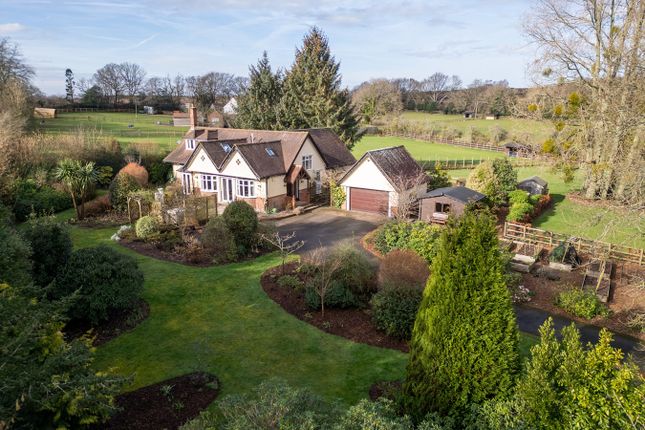 Thumbnail Detached house for sale in Burley Street, Burley, Ringwood