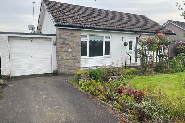 Bungalow to rent in Hollybush Road, Crieff
