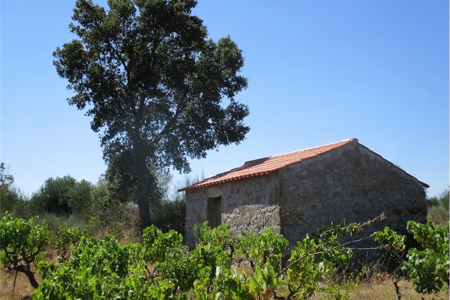 Property for sale in 6090 Penamacor, Portugal