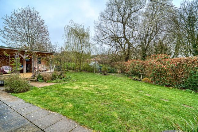 The Old Orchard, Foots Hill, Shaftesbury photo 4