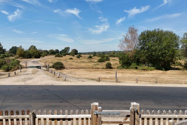White Croft, Meerut Road, Brockenhurst photo 2