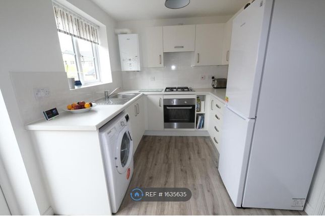 Archdale Road, Sheffield photo 4