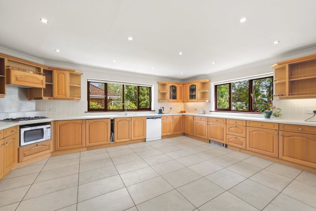 The Whim, Hamm Court, Weybridge photo 4