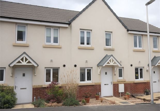 Thumbnail Terraced house to rent in Cowslip Crescent, Hele Park, Newton Abbot, Devon.