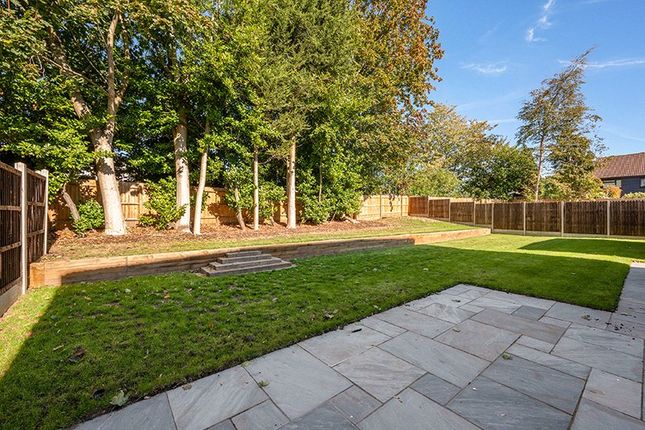 Shelvers Way, Surrey photo 4