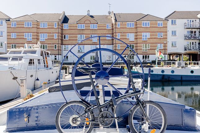Kaapsea Drai, South Dock Marina, Rope Street, London photo 3
