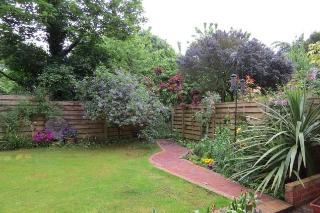 Garden.Jpg