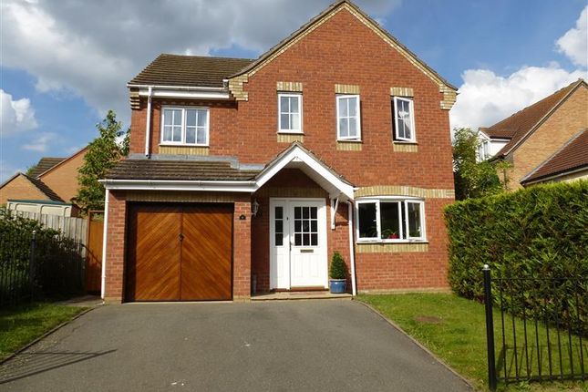 Thumbnail Detached house to rent in Croft Way, Hampton Hargate, Peterborough