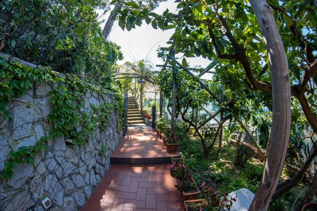 Villa for sale in 80067 Sorrento, Metropolitan City Of Naples, Italy