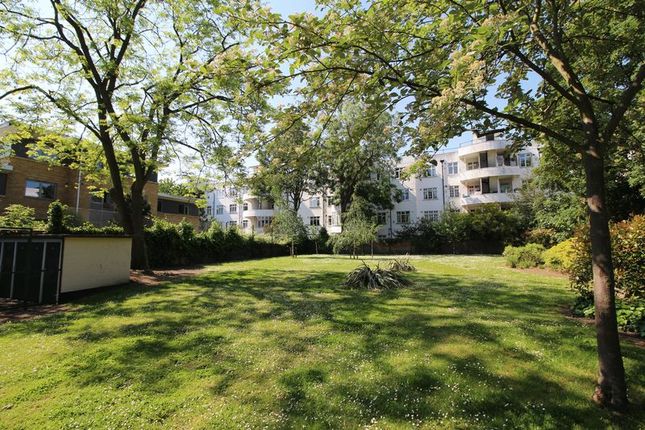 Communal Gardens