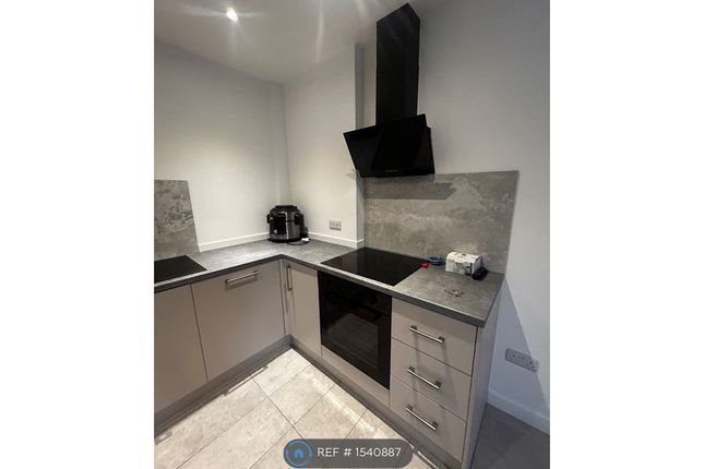 Thumbnail Flat to rent in Lower Clapton Road, London