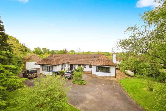 Bungalow for sale in The Broyle, Shortgate, Lewes
