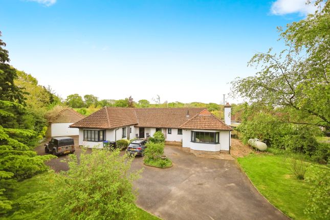 Thumbnail Bungalow for sale in The Broyle, Shortgate, Lewes