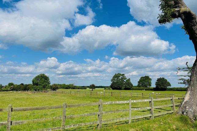 Link-detached house for sale in Church Street, Sibbertoft, Market Harborough