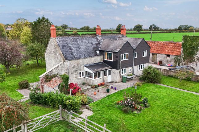 Church Farm, Glastonbury photo 3