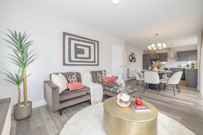 Show Home