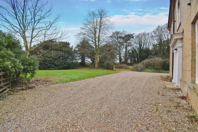 Driveway.Jpg