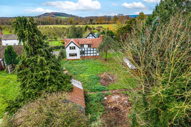Yewtree Cottage, Hereford photo 2