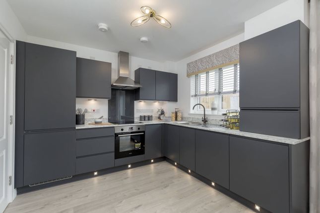 Plot 34, The Carnoustie, Oak Place, Dalkeith photo 4