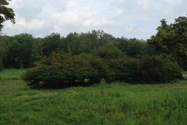 Thumbnail Land for sale in 140 Carter Street In New Canaan, Connecticut, Connecticut, United States Of America