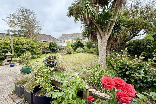2, Lighthouse Lane, Norwich photo 4